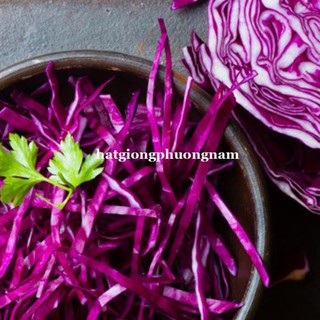 0,5 GR - hạt giống bắp cải tím