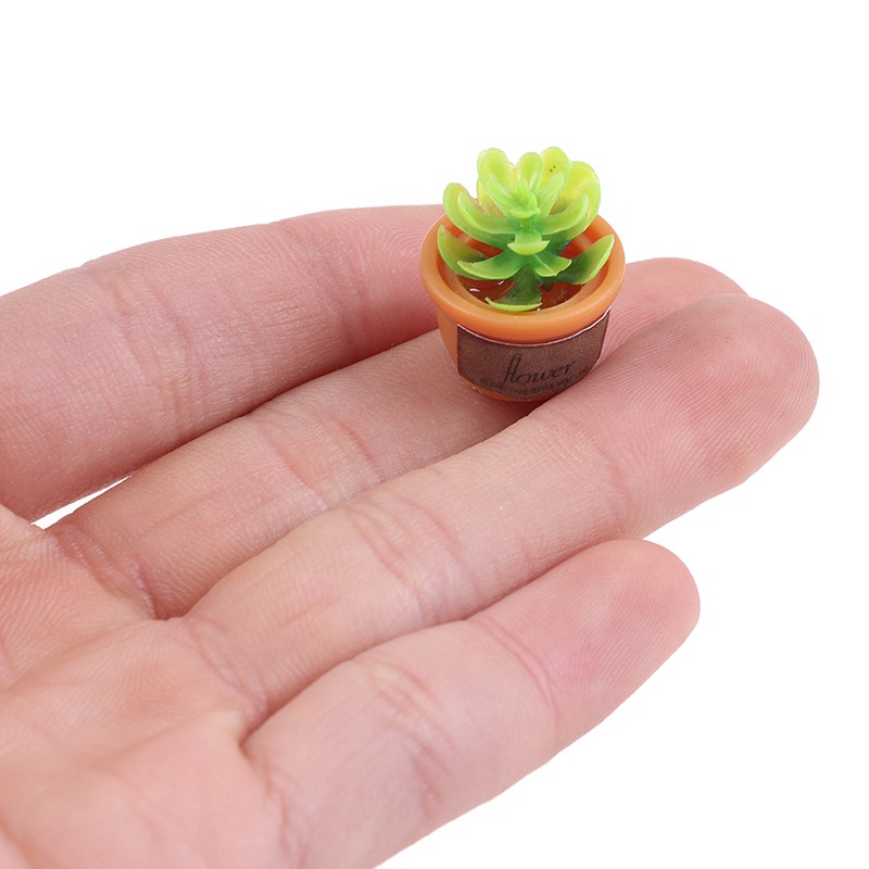 Bộ 4 Chậu Cây Mini Trang Trí Nhà Cửa