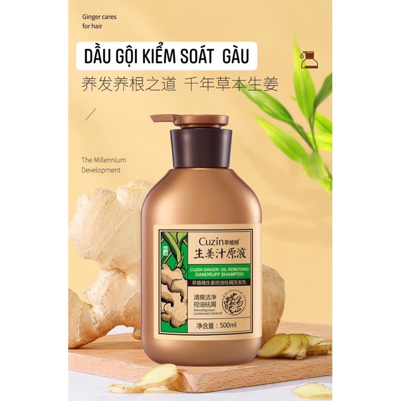 Dầu gội củ gừng | BigBuy360 - bigbuy360.vn