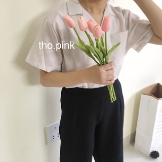 Áo Sơ Mi cổ V ulzzang sẵn be