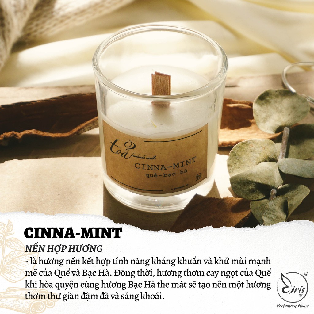 Nến 2 mùi Cinna - Mint | Tỏa Handmade Candle