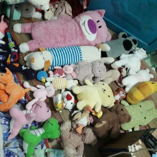 Gấu bông của chị phạm hoàng my