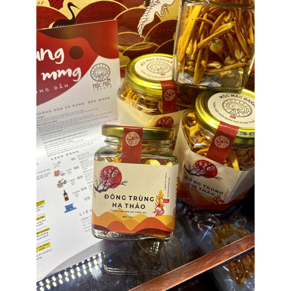 Đông trùng hạ thảo sấy khô gói 100gr | BigBuy360 - bigbuy360.vn