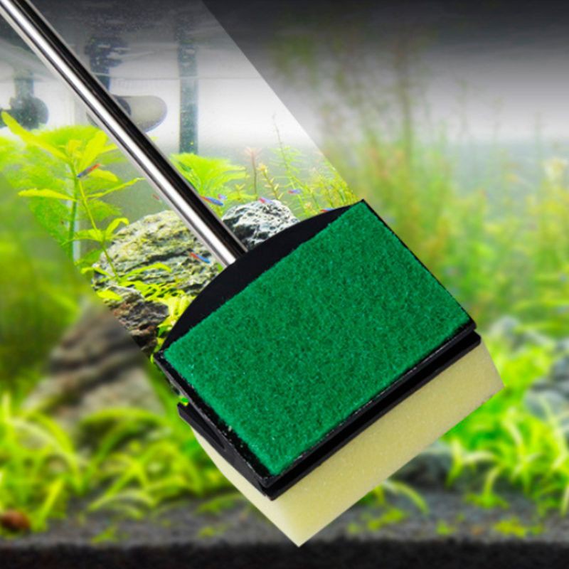 Bàn chải 2 mặt vệ sinh hồ cá chất lượng cao