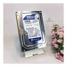 HDD 250g Western Blue | BigBuy360 - bigbuy360.vn