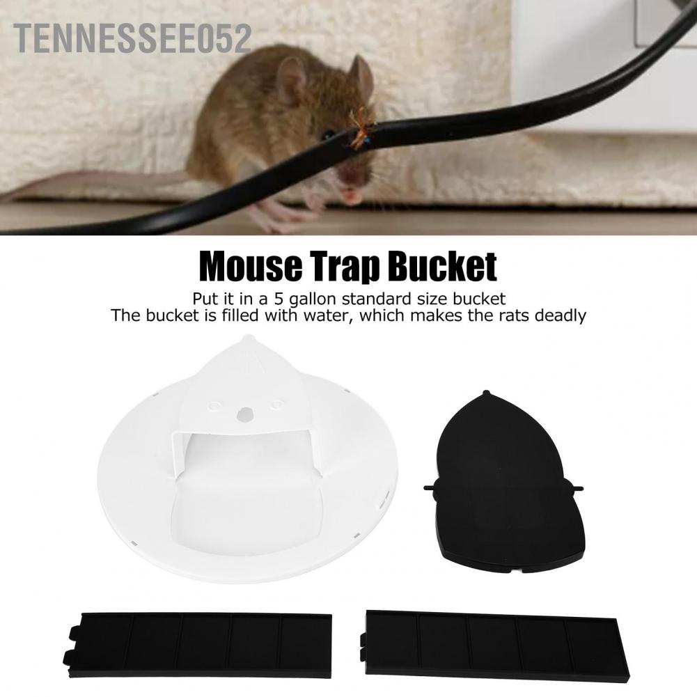 Bẫy Chuột Thông Minh Bằng Nhựa 5 Gallon Có Thể Tái Sử Dụng