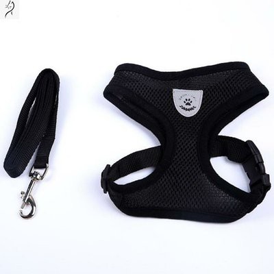 Dây thừng mèo, dây thừng mèo, dây thừng, dây thừng, dây thừng, dây đeo, dây đeo, dây đeo, dây đeo, dây đeo, dây đeo, dây
