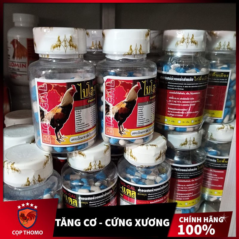 Thuốc Bio cal bổ sung canxi rất tốt cho việc phát triển xương, giúp gà cứng chân đứng vững.