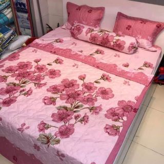 Trọn bộ 5 món drap giường cotton polly