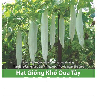 Hạt Giống Khổ Qua Tây Sai Trái, Giàu Dinh Dưỡng 2gr