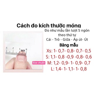 Nailbox thiết kế tim nâu