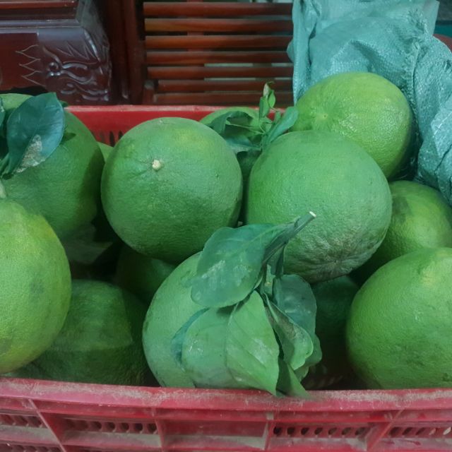 Bưởi da xanh Tân uyên