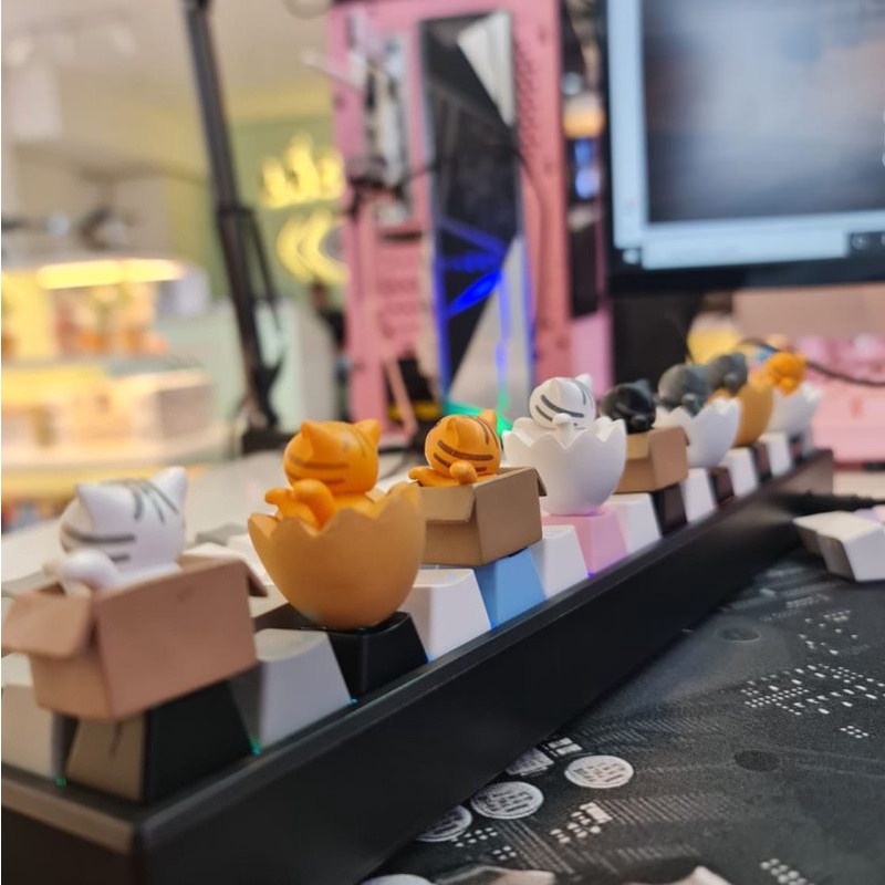 Keycap lẻ Mèo Con Trong Hộp siêu dễ thương Lionvn