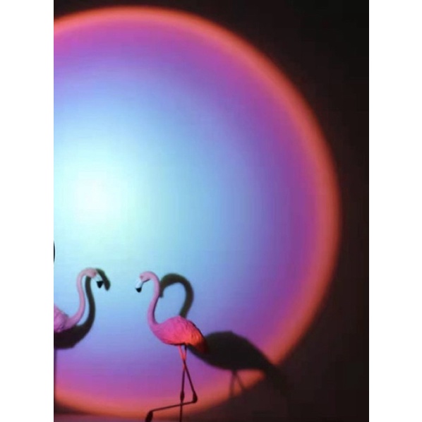 Đèn hoàng hôn đỏ, ánh sáng tím chụp hình như Rose BLACKPINK