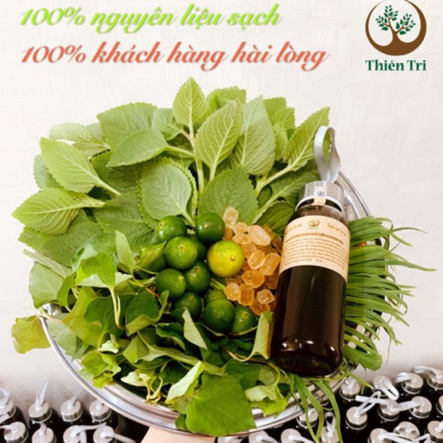 Siro ho thảo mộc húng chanh nguyên chất Thiên Tri (đã kiểm định)