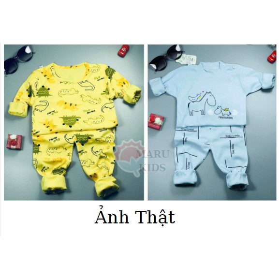 Đồ bộ dài tay thu đông Quảng Châu ấm áp cho bé trai-bé gái (8-23kg)