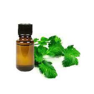 NƯỚC MÙI GIÀ (CORIENDER HYDROSOL)