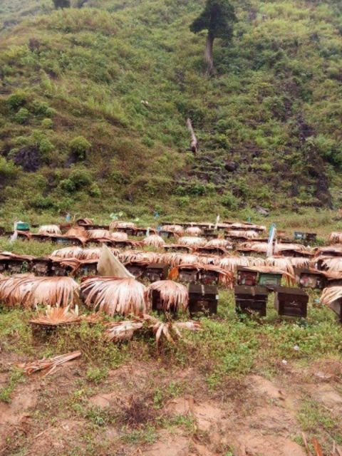 MẬT ONG BẠC HÀ CHUẨN HÀ GIANG 1LÍT