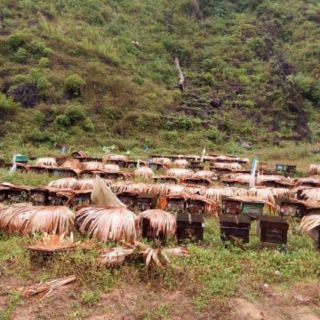 MẬT ONG BẠC HÀ CHUẨN HÀ GIANG 1LÍT
