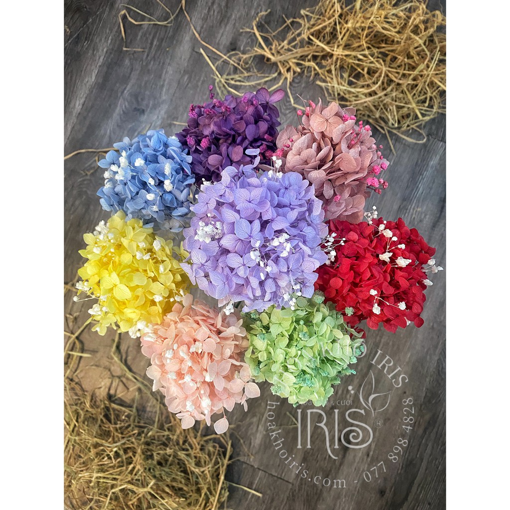 Hoa khô trang trí ❤️tú cầu kèm bibi❤️ Hoa trang trí phòng ngủ, phụ kiện decor