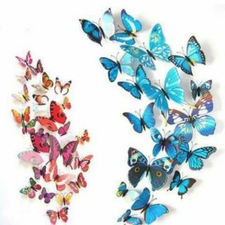 Bộ bướm trang trí 12 con