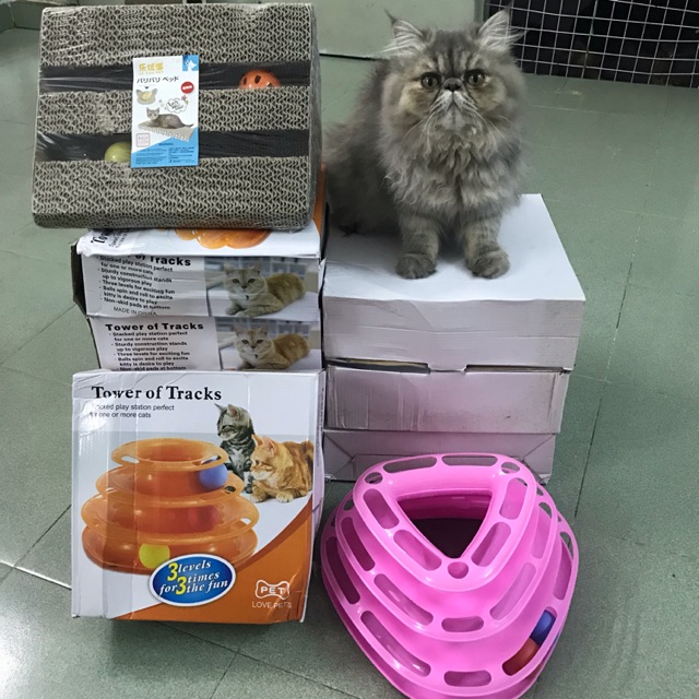 Tháp bóng + vòng cổ
