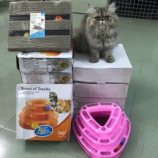 Tháp bóng + vòng cổ