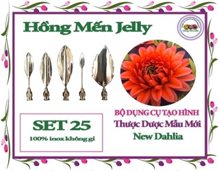 Set số 25: bộ kim làm thạch 3D hoa thược dược 5 kim mẫu mới