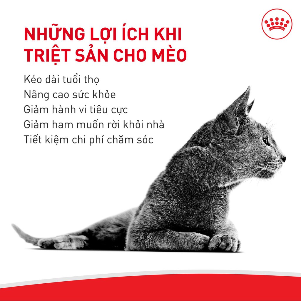 thức ăn royal canin dành riêng cho mèo triệt sản (Sterilised)