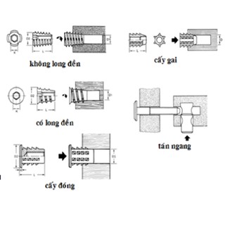 50 TÁN CHẤU M6