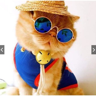Kính Mắt Thời Trang Cho Thú Cưng CHÓ MÈO CỰC NGẦU CHẮC CHẮN