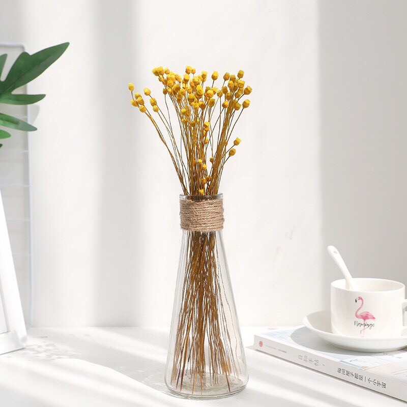 Lọ hoa thuỷ tinh tam giác - Phụ kiện trang trí nhà cửa ( Tặng kèm dây thừng ) - DaiSy Decor