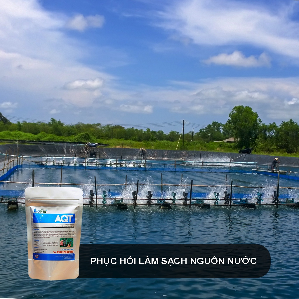 Combo 3 gói vi sinh xử lý tảo, làm sạch nước ao nuôi, kích thích tăng trường thủy sản - BioFix AQT gói 150 gram