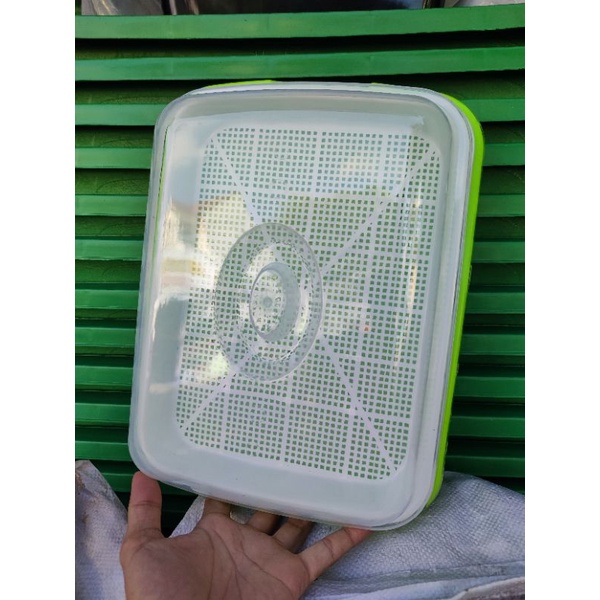Khay Dụng Cụ Làm Giá Đỗ 34x25x5cm