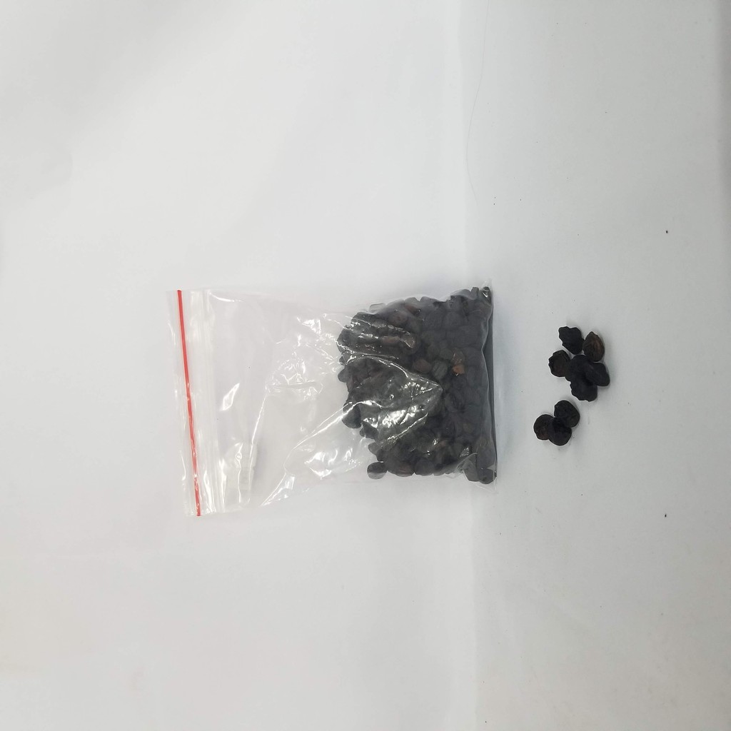 Hạt Dổi Rừng Sa Pa Loại Gia Vị Đặc Biệt Của Tây Bắc Ăn Một Lần Nhớ Cả Đời, Gia Vị Ngon Cho Mọi Nhà | BigBuy360 - bigbuy360.vn