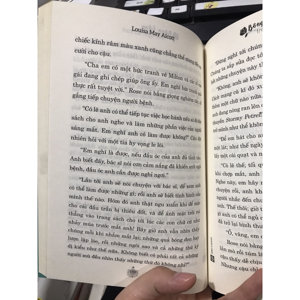 Sách - Bông Hồng trên ngọn đồi xanh