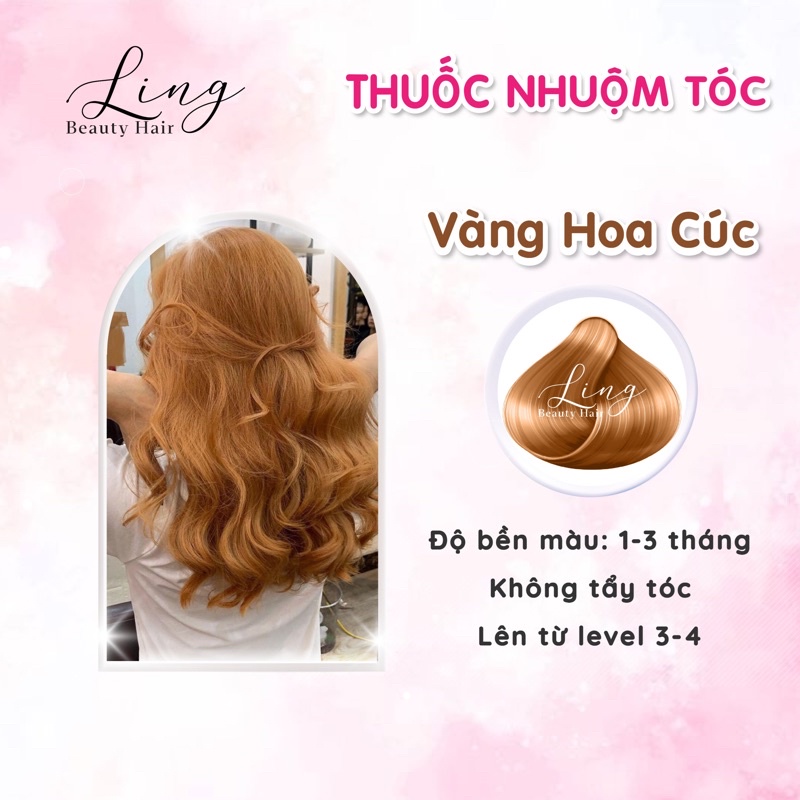 Thuốc nhuộm tóc màu VÀNG HOA CÚC, không tẩy tóc lên từ nền nâu đen