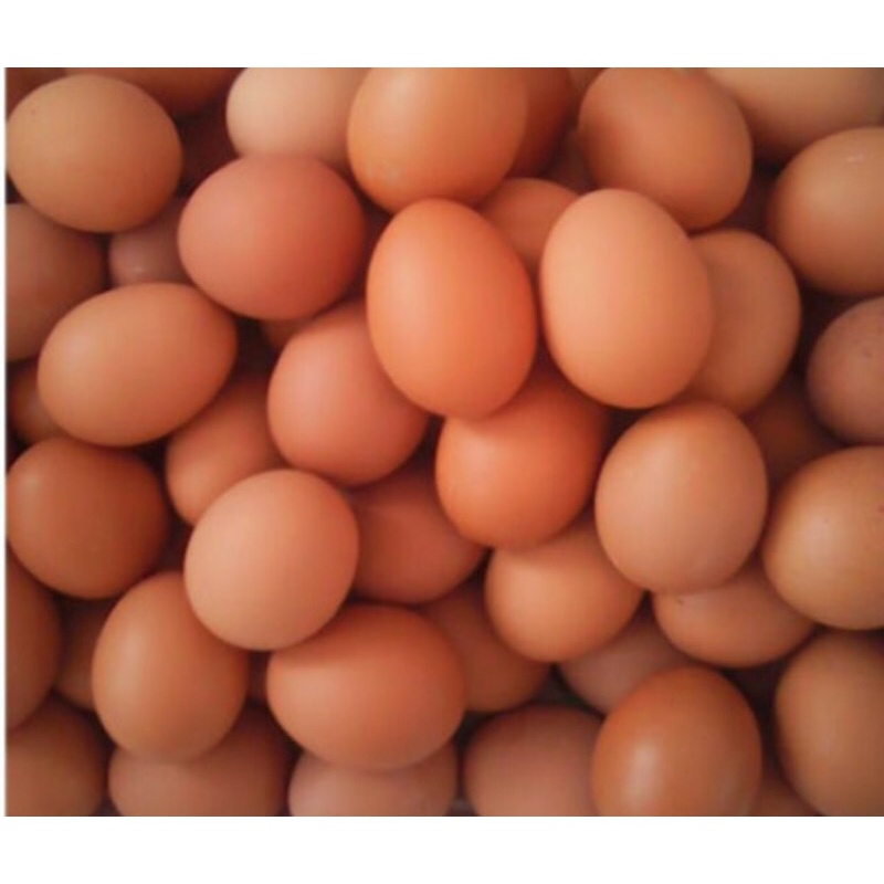 trứng gà,vịt,muối,bắc thảo tươi 10 trứng/vỉ trứng loại lớn,chỉ giao nowship,grab