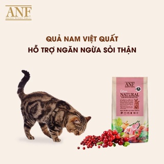 Hạt anf hữu cơ cho mèo túi 6kg