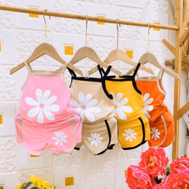 BỘ HOA CÚC XỊN XÒ