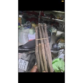 Phôi cầu thuốc cho lồngg chim