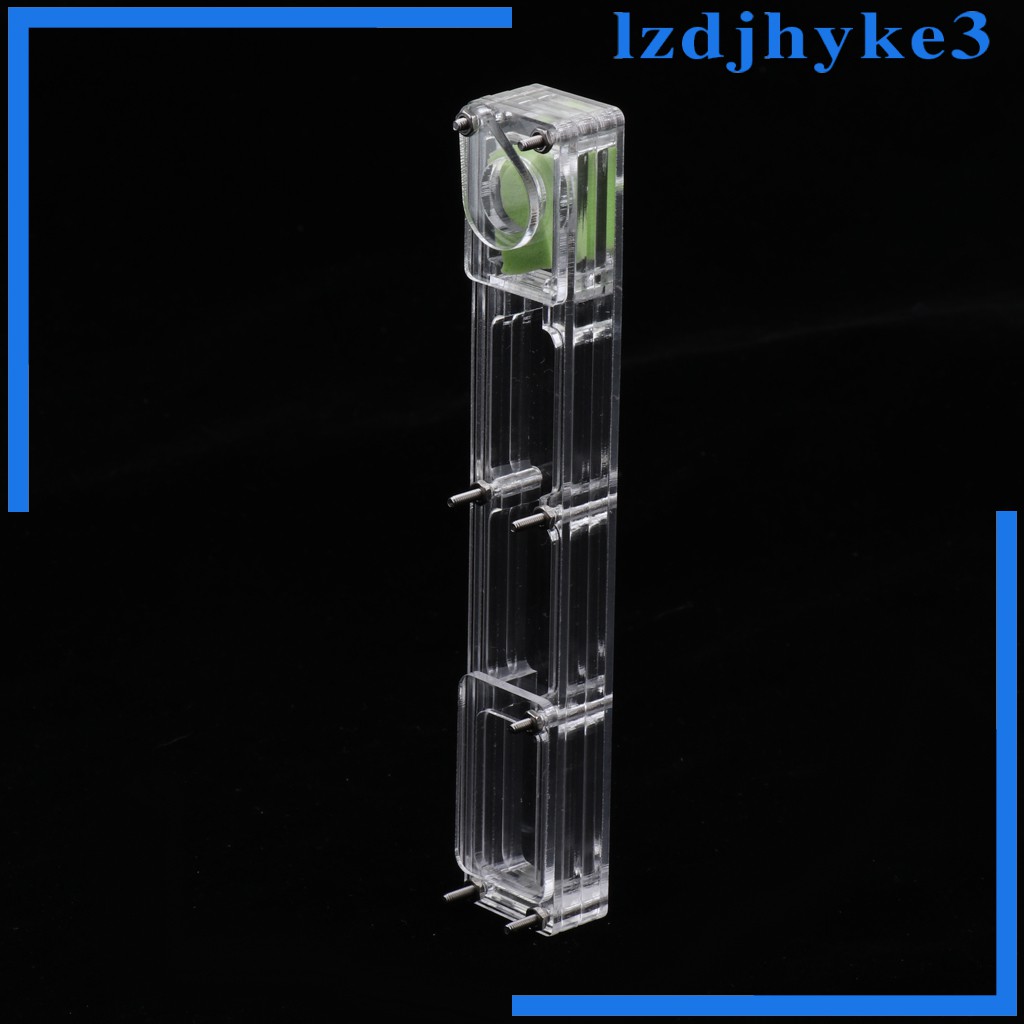 [lzdjhyke3] Hộp Nuôi Kiến Nhỏ Bằng Acrylic Trong Suốt Cho Nông Trại