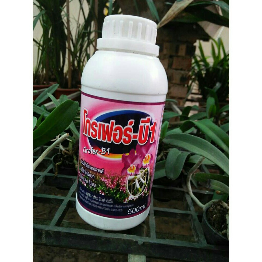 Phân Bón B1 Thái Lan, Chai 500ml