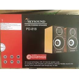 Loa Vi Tính Skysound PD-818