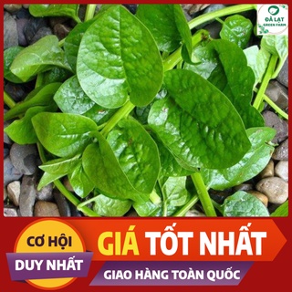 Hạt Giống RAU MỒNG TƠI_10GR (HẠT CHẤT LƯỢNG CHUẨN F1)