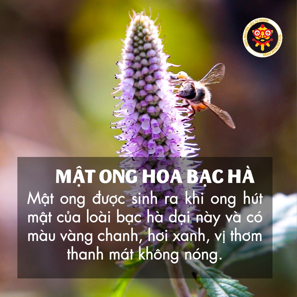 Mật Ong Bạc Hà TETE 1 LÍT