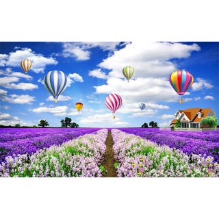 Tranh dán tường phong cảnh hoa lavender