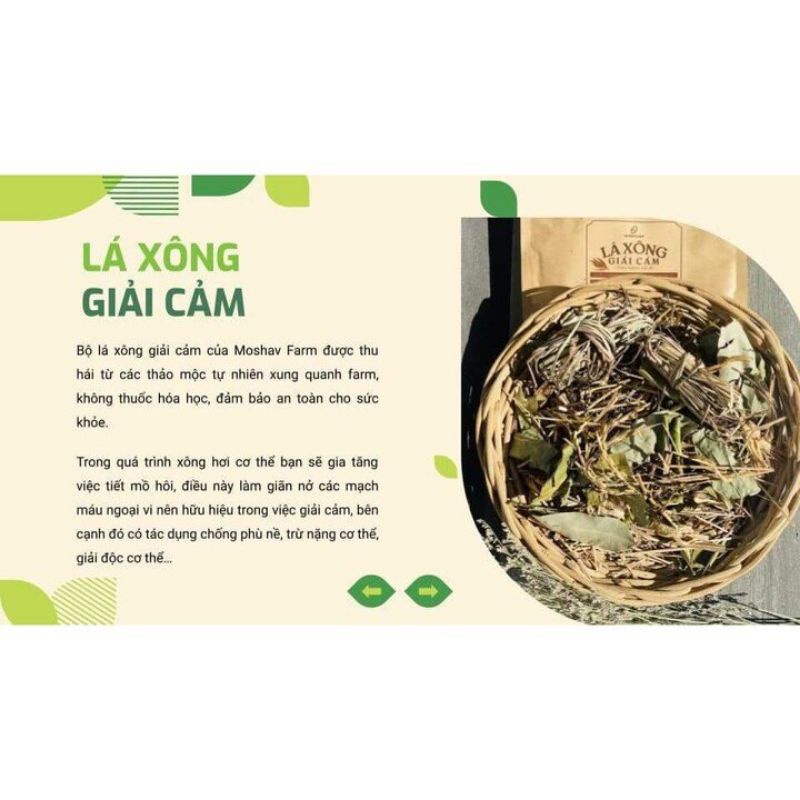 Lá Xông Giải Cảm Khô Sấy Lạnh The Moshav Farm