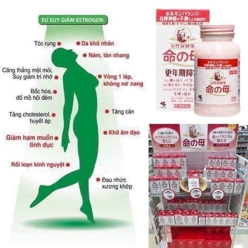 Hộp tiền mãn kinh Kobayashi Nhật Bản 840v