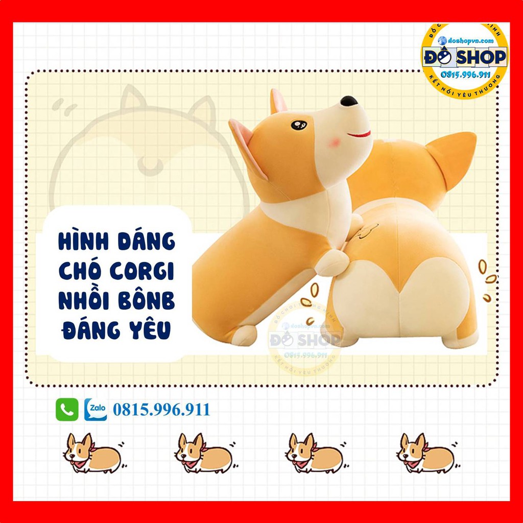 Thú Nhồi Bông Chú Chó Corgi Đáng Yêu Loại Xịn Cao Cấp - Đô Shop